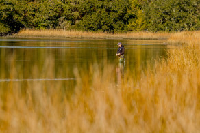 Gallery - People 23