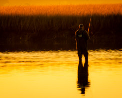 Gallery - People 2