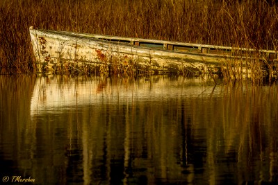 Old Boat on the Eastern Shore of Virginia