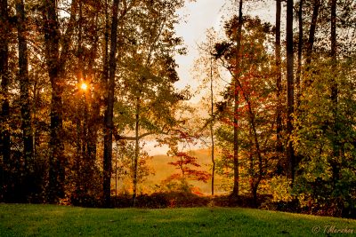 Fall on the Nansemond River